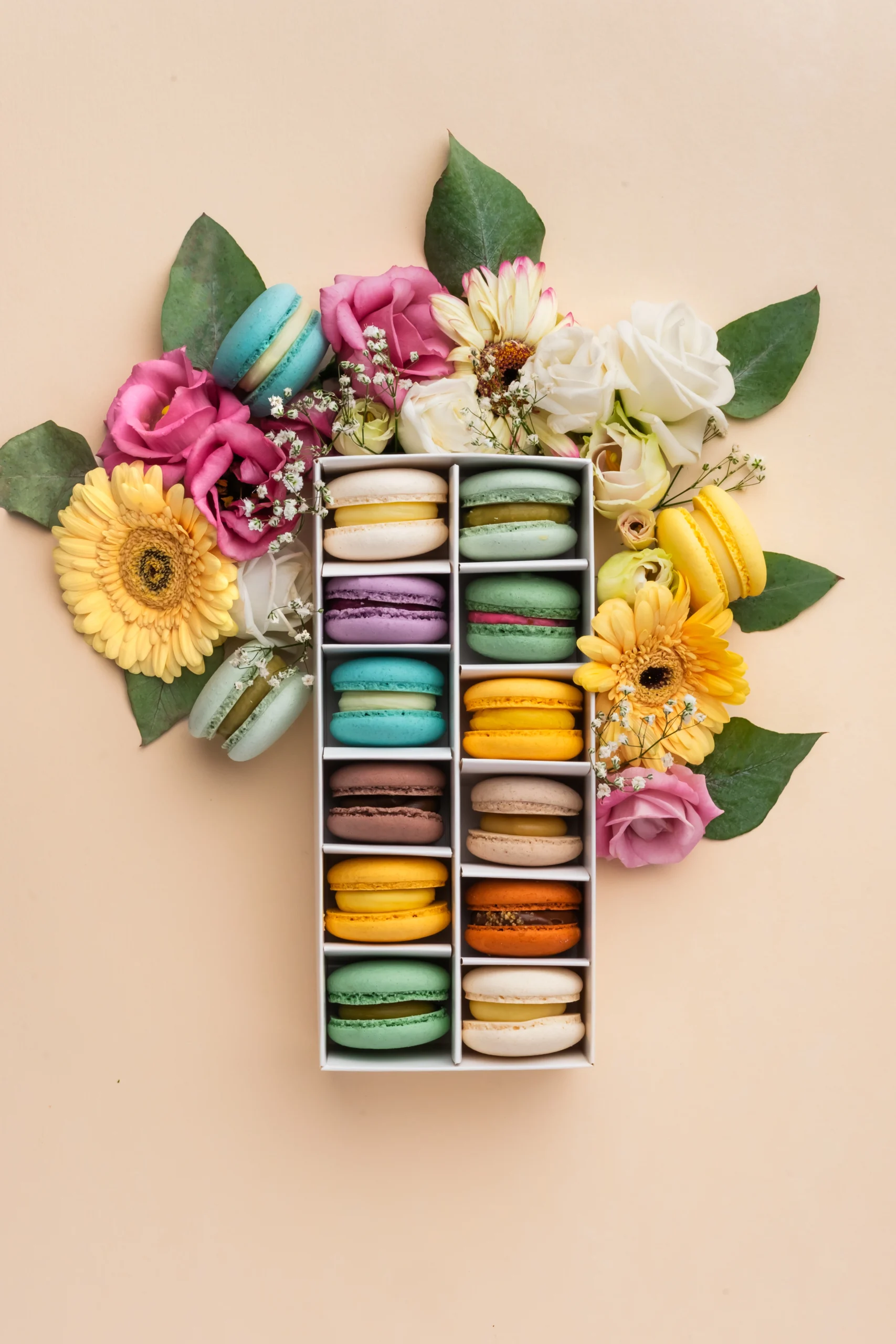 Zestaw 12 – zdjęcie 1