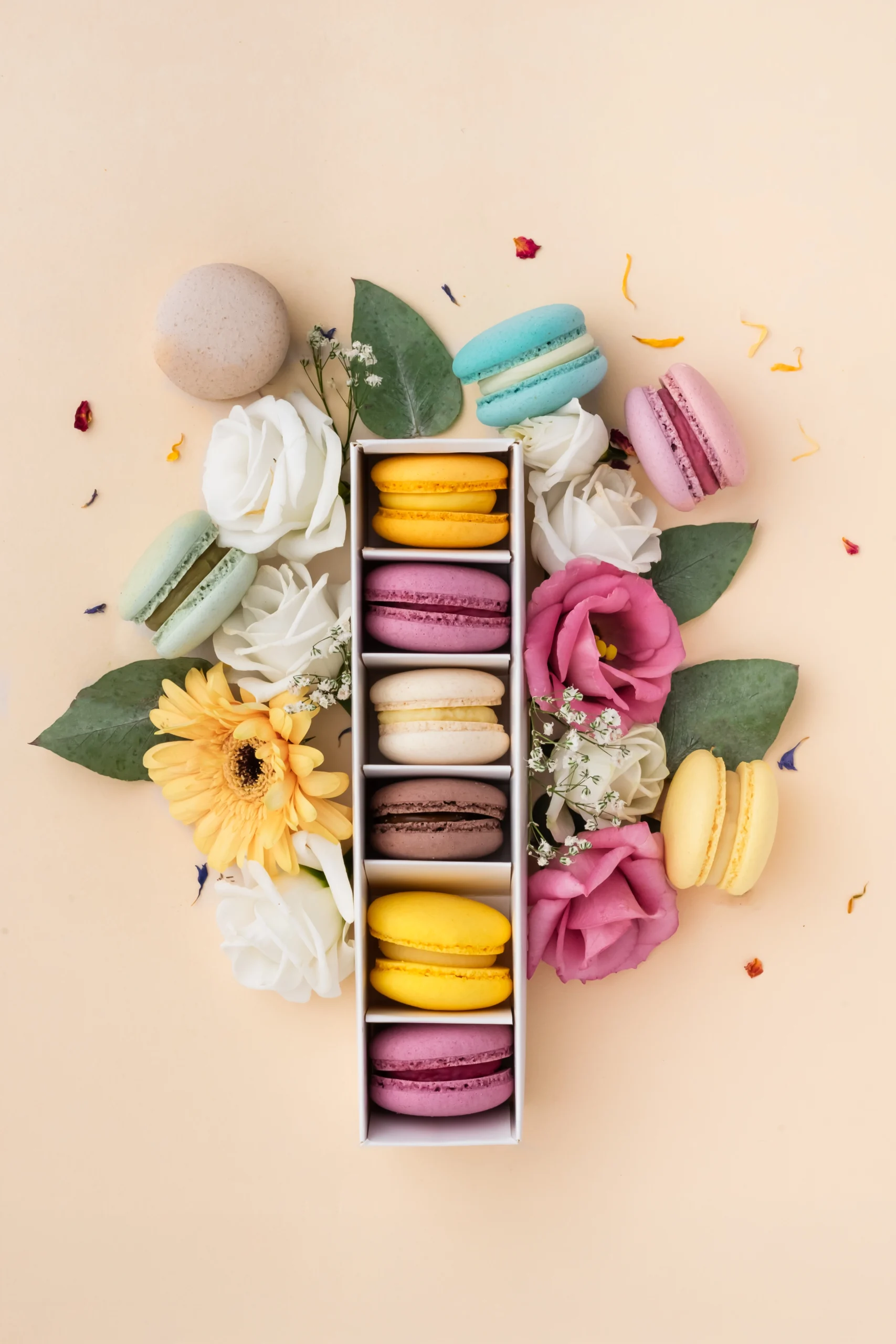 Zestaw 6 – zdjęcie 1